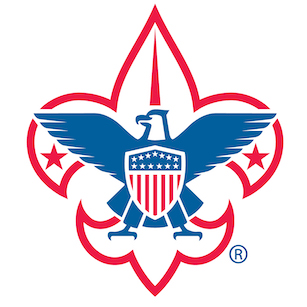 BSA Logo - Fleur de Lis
